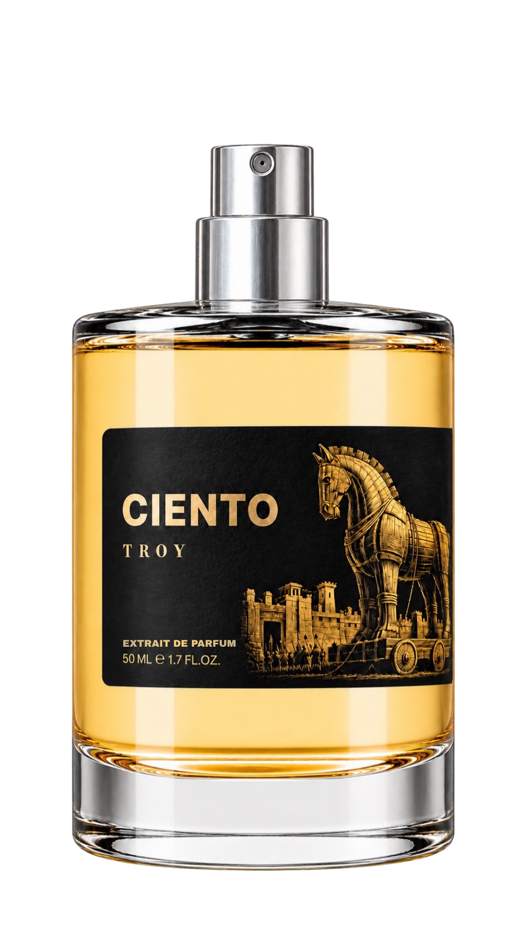 TROY